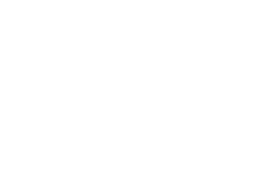 Stella Artois